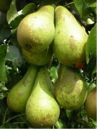 Riadenie celého výrobného procesu od produkcie podpníkov po predaj konečného produktu